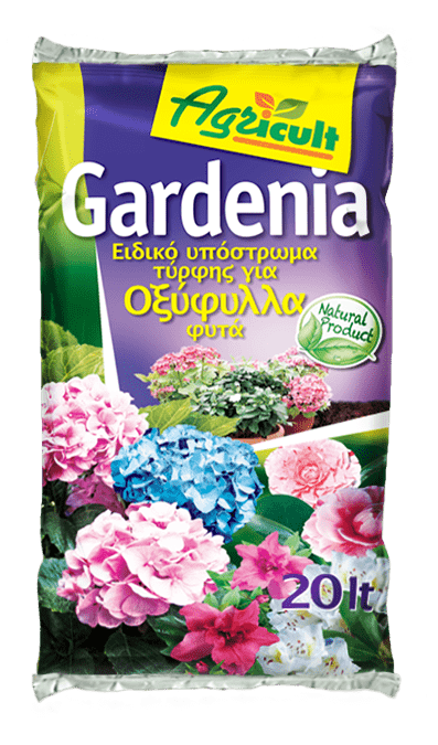 AGR003820 AGR003820