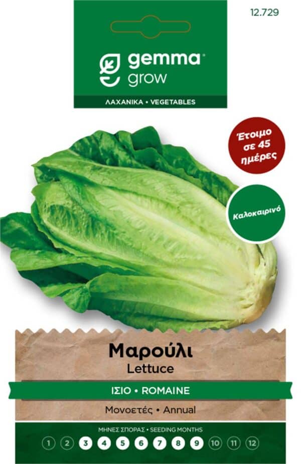 μαρούλο gemma