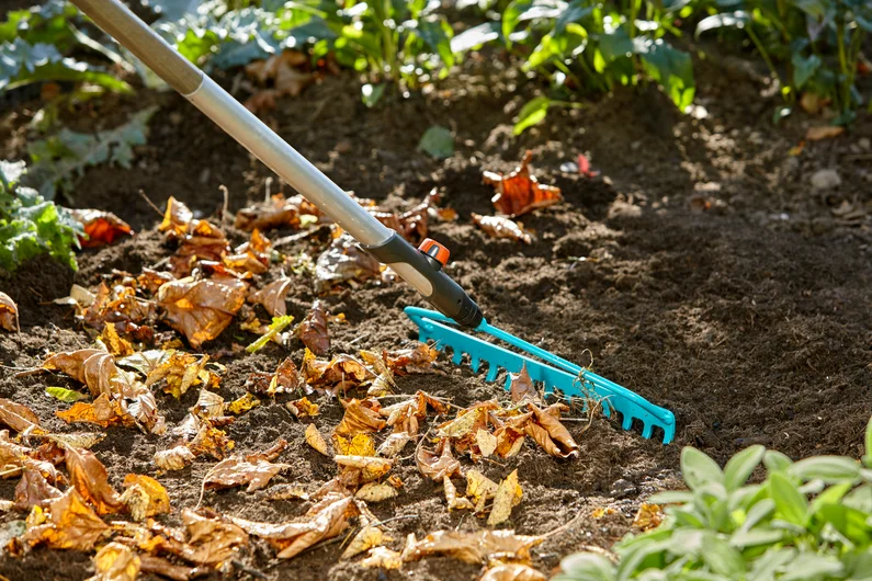 GRD901041201_2 GRD901041201_2