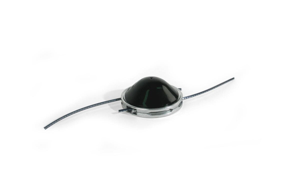 ORG000111110 ORG000111110