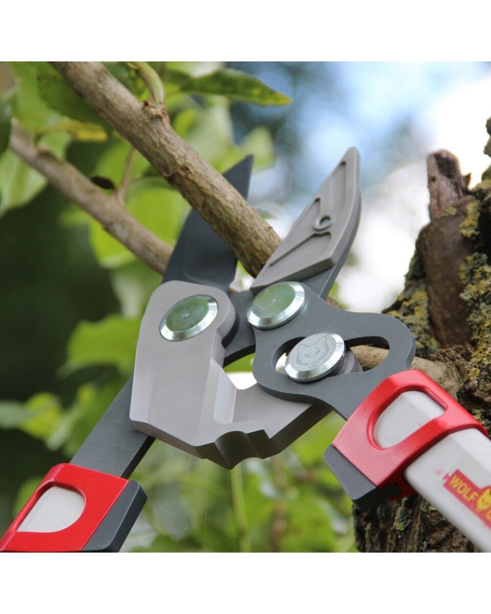 WLFW73BGA007_2 WOLF-Garten