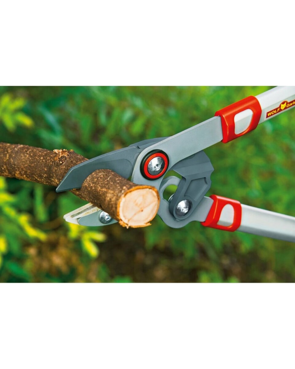 WLFW73BGA007_3 WOLF-Garten