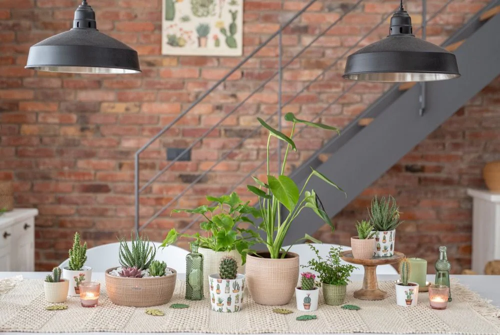 SCH866CAN_2 SCHEURICH