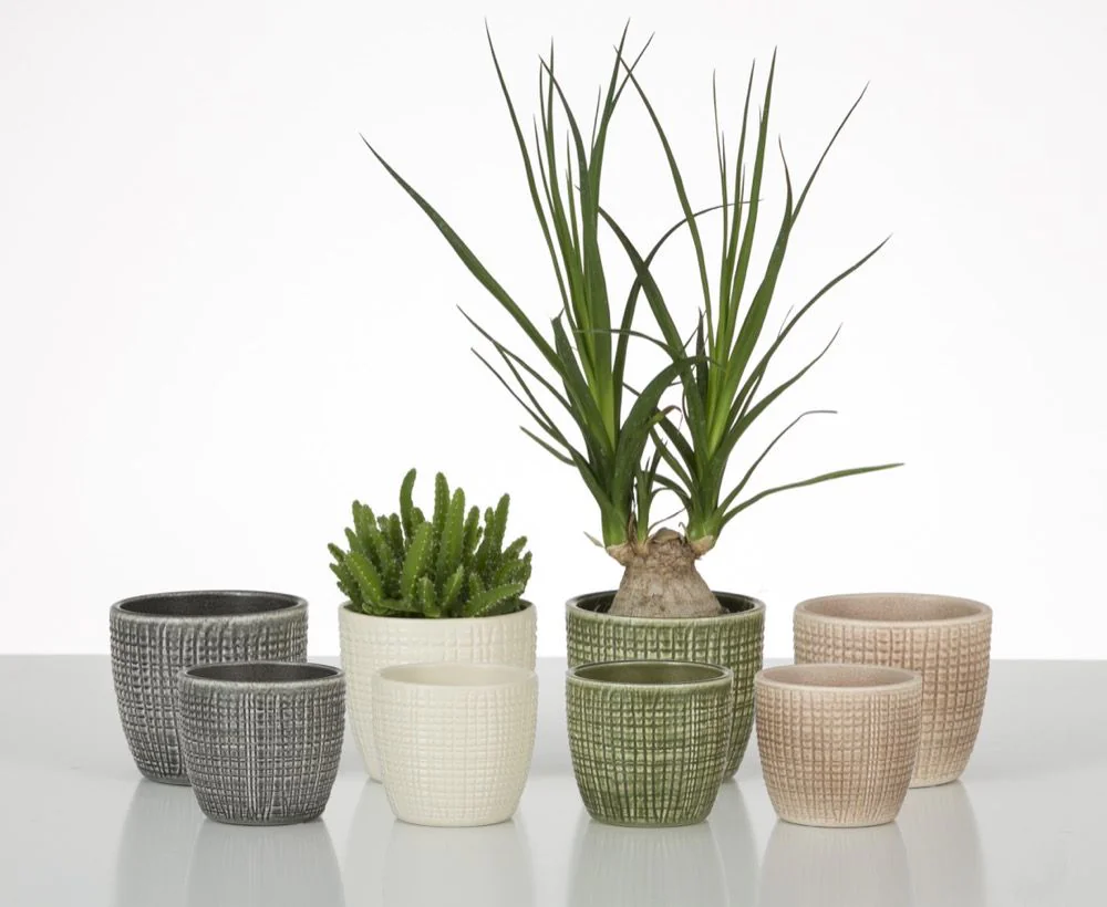 SCH866VAI_4 SCHEURICH