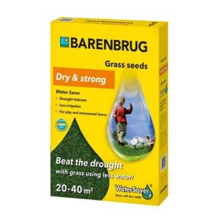 γκαζόν ξηρασία barenbrug