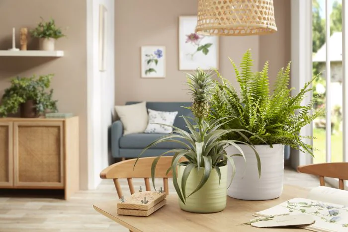 SCH850SIL_1 SCHEURICH