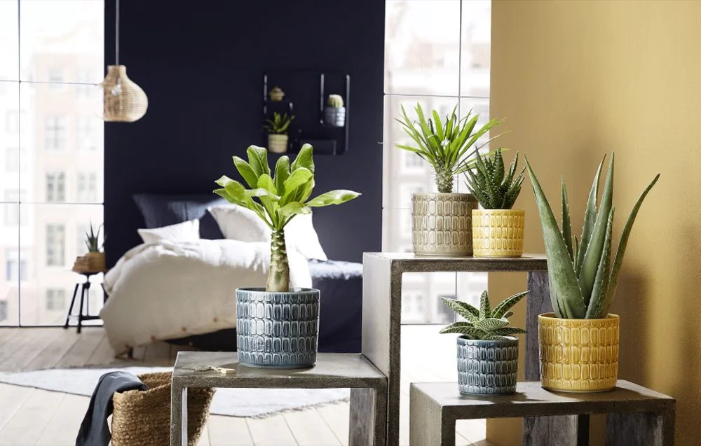 SCH878LUN_1 SCHEURICH