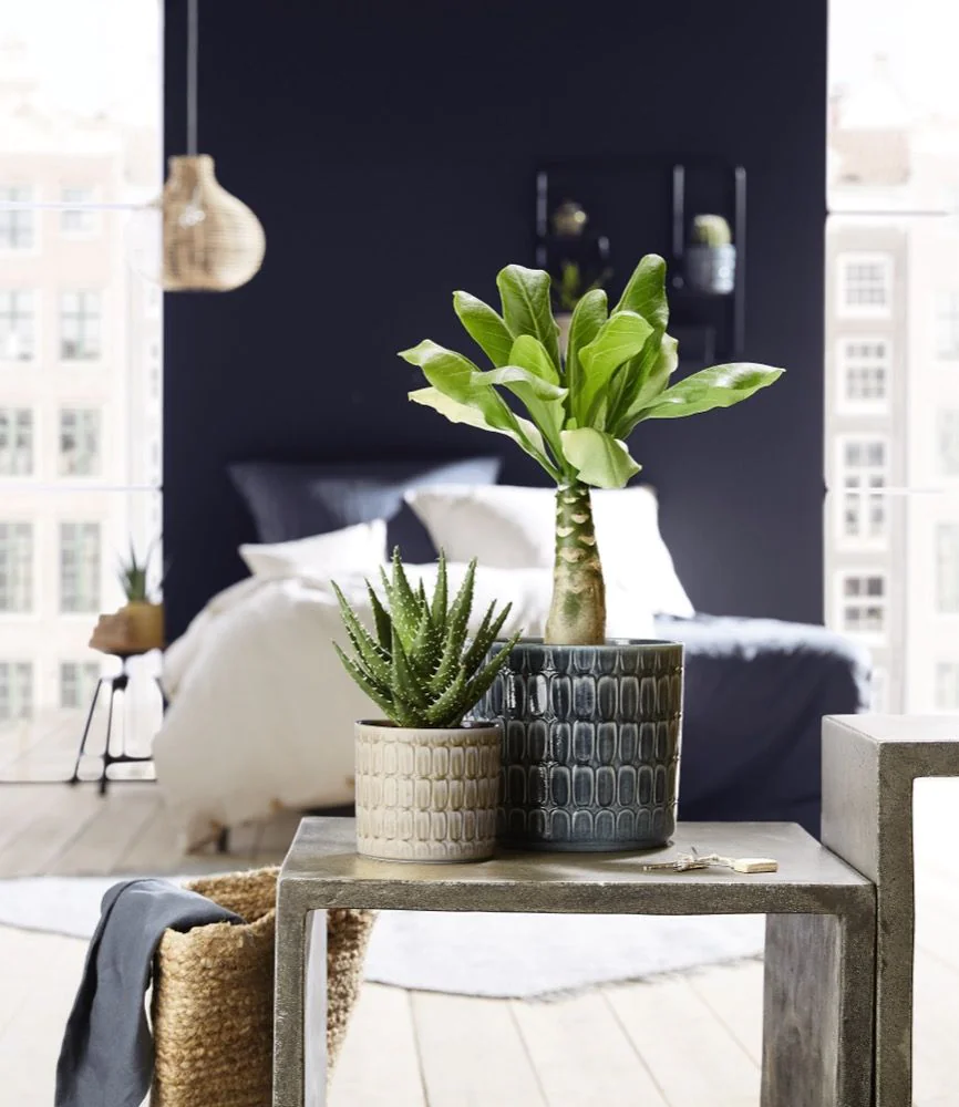 SCH878LUN_2 SCHEURICH