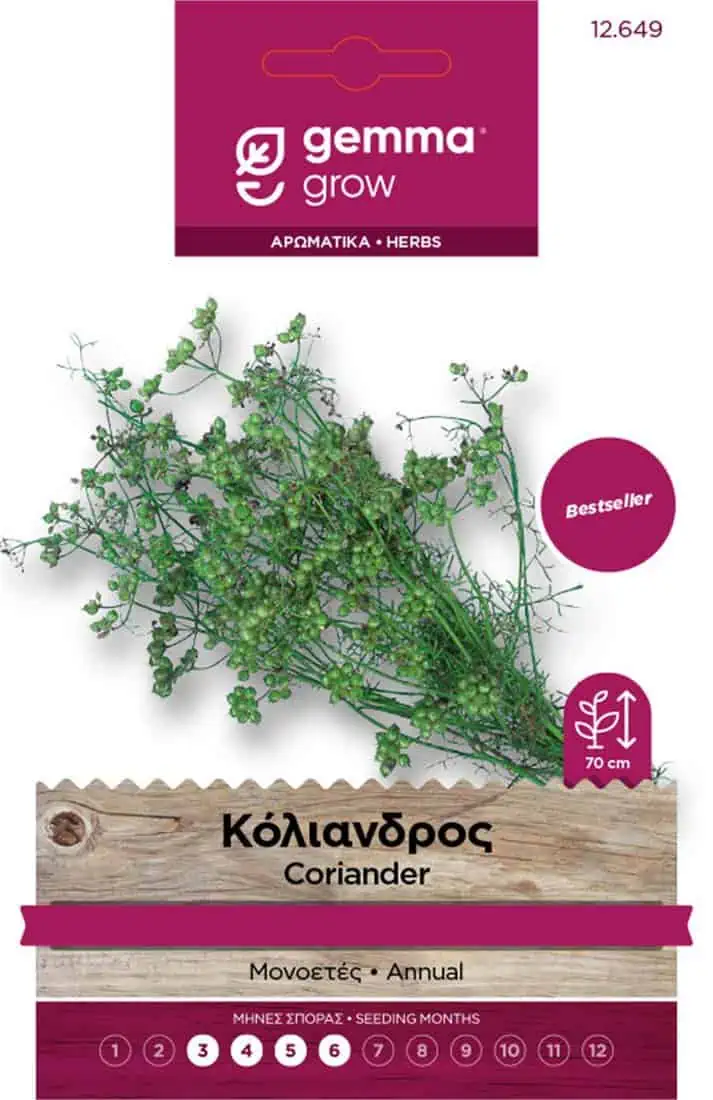 GEMSDS012649 κόλιανδρος gemma
