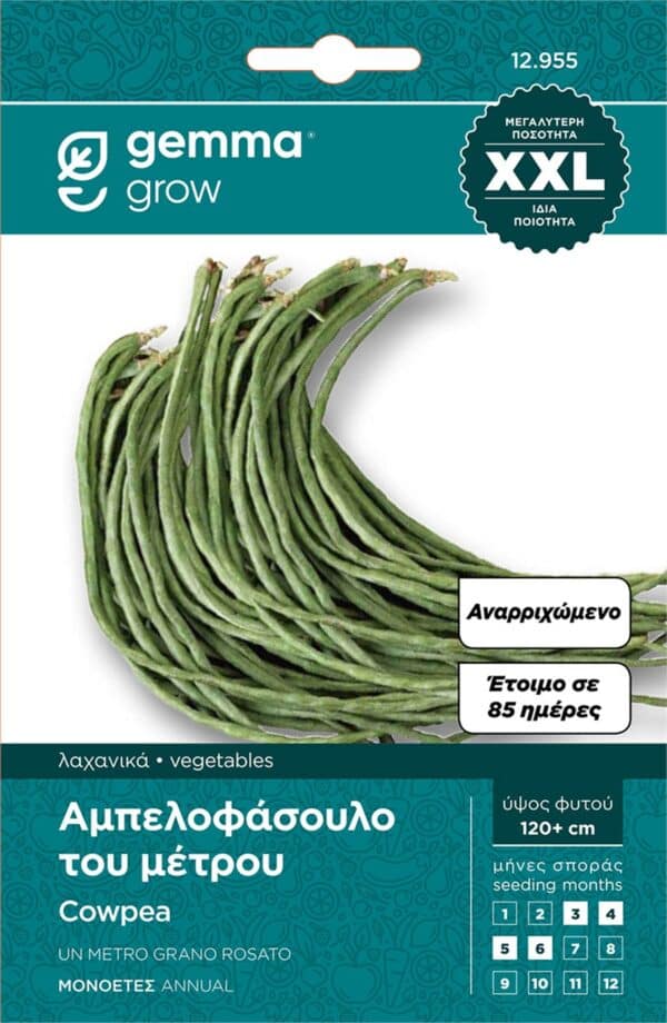φασόλι gemma