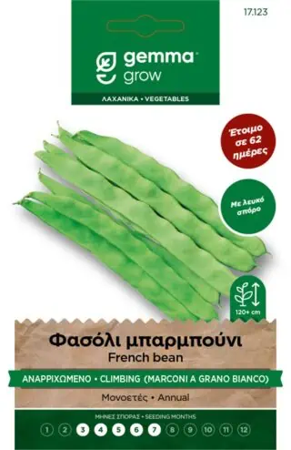 φασόλι gemma