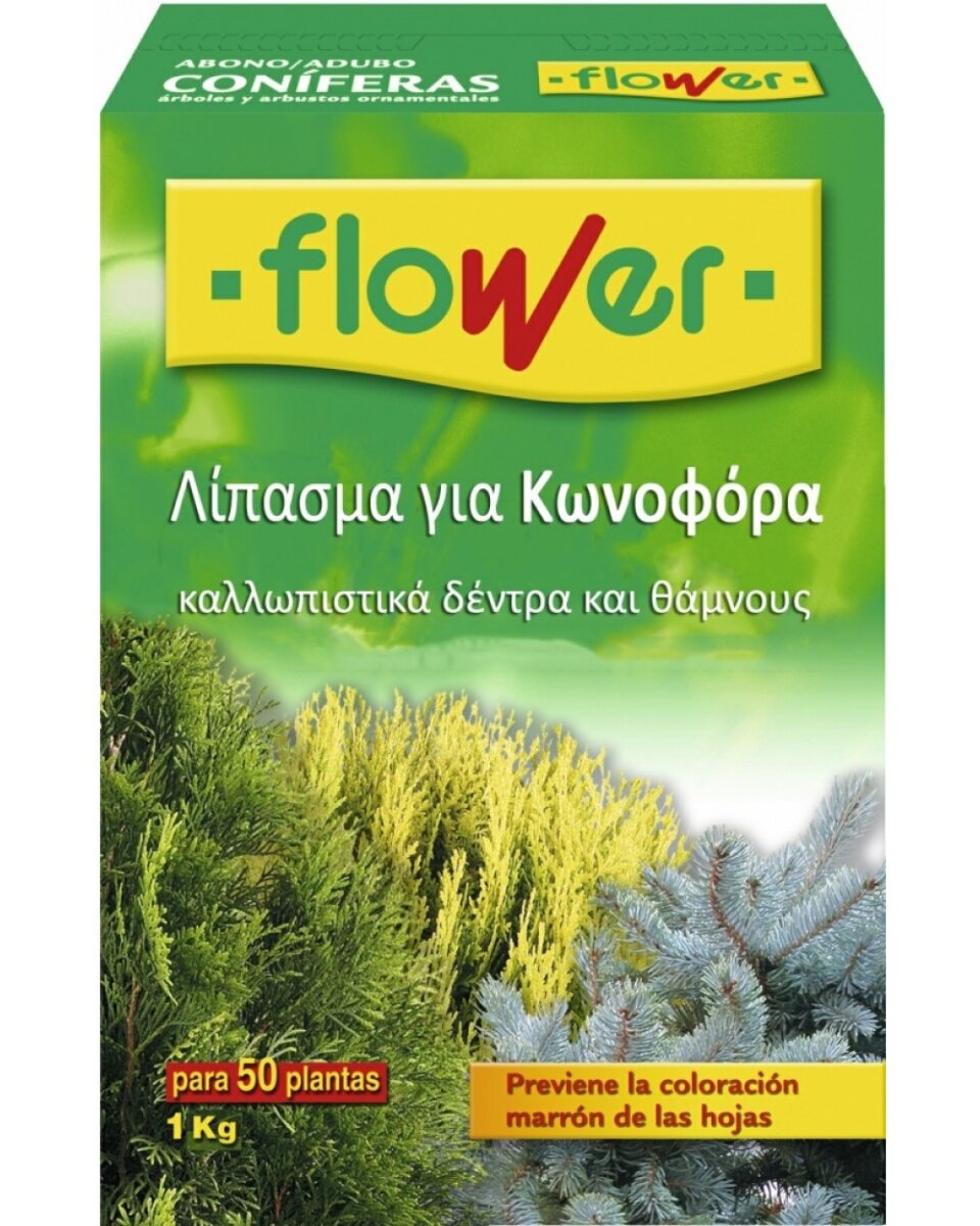 FLW0FLF10518 FLOWER