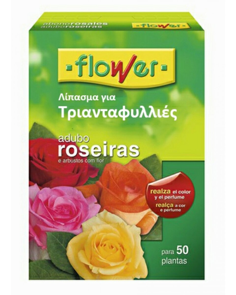 FLW0FLF10520 FLOWER