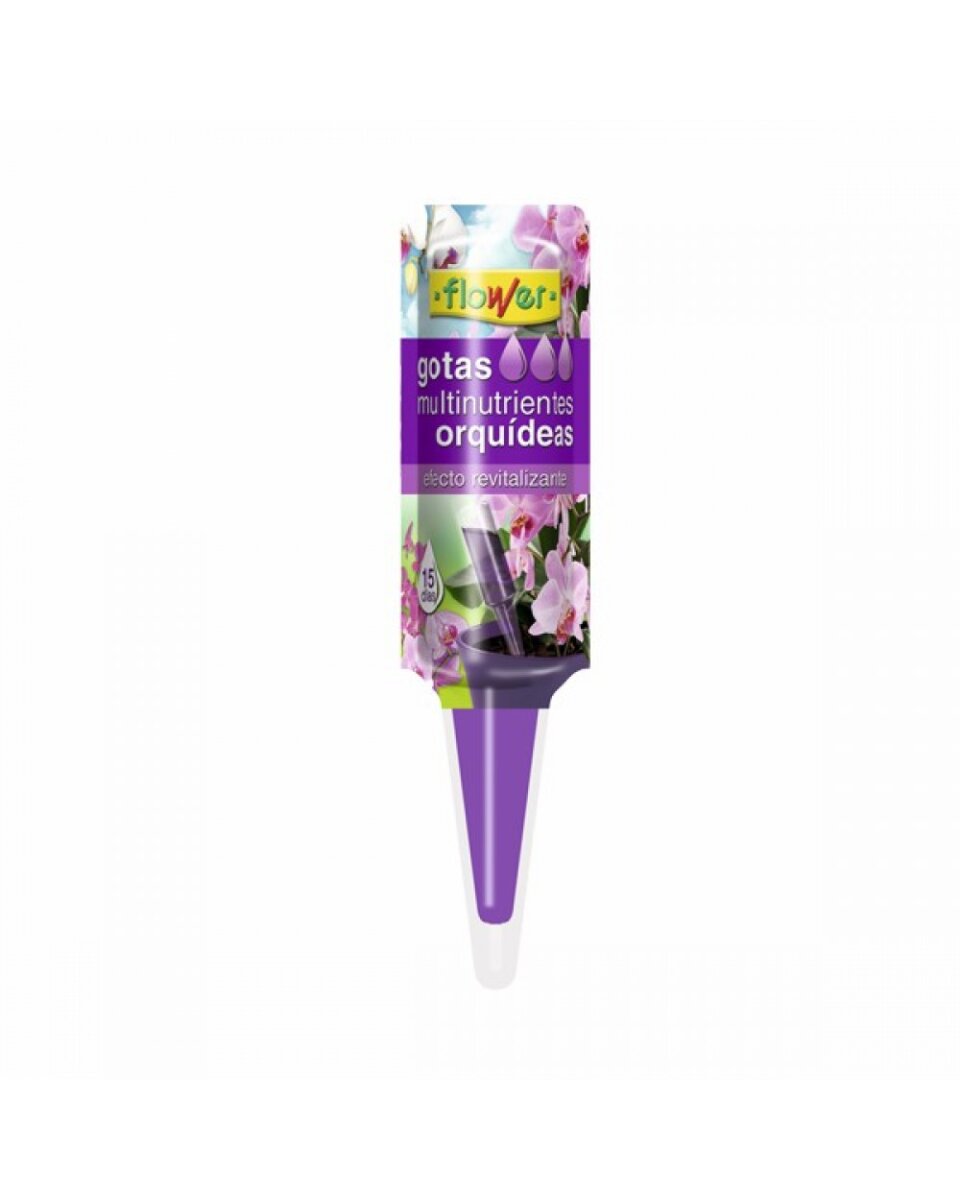 FLW0FLY10863 FLOWER