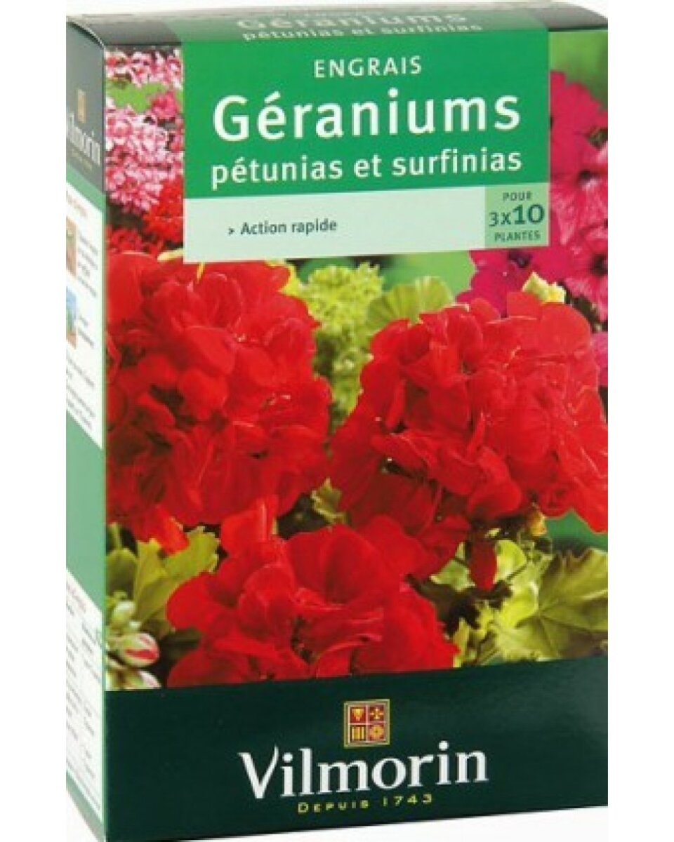 VLM006428499 VILMORIN