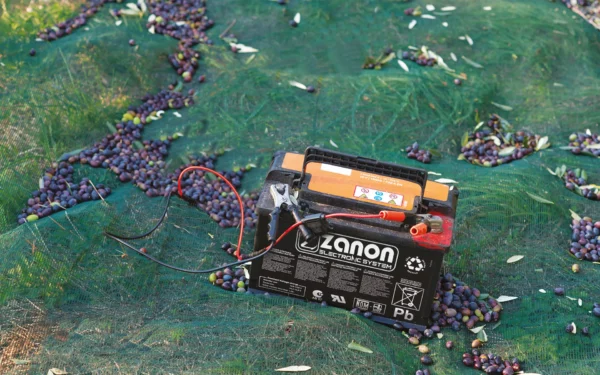 zanon