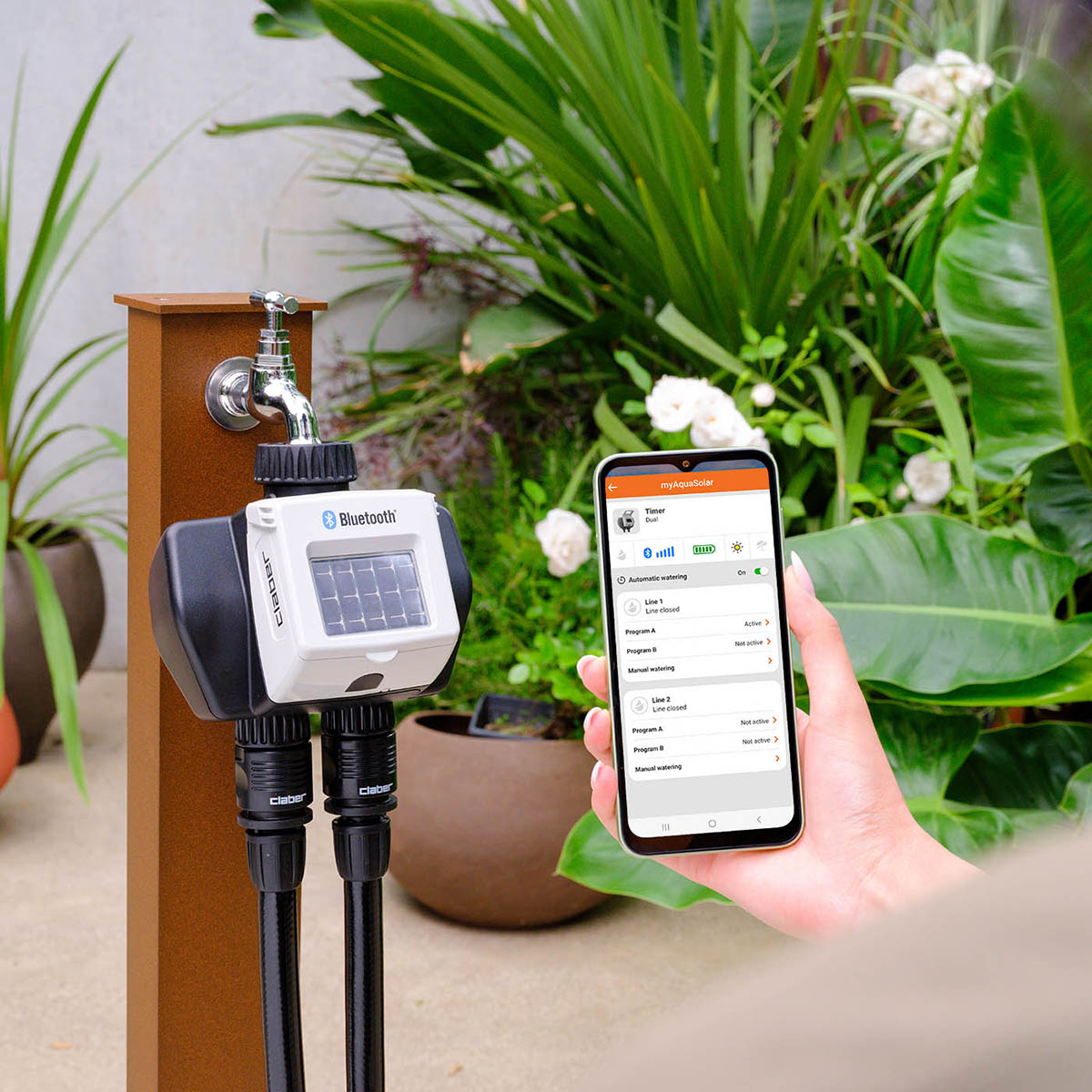 CLB000008498_1 CLB000008498_1