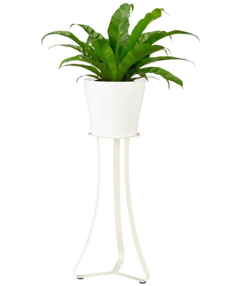 SCH105WMA_5 SCHEURICH