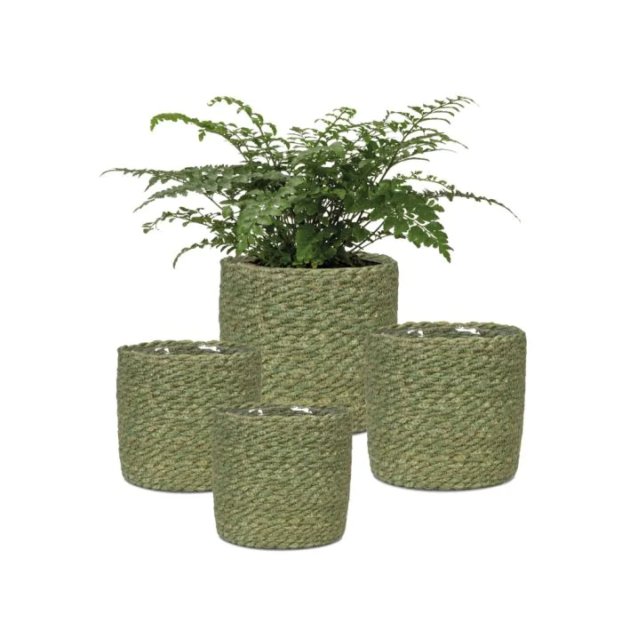 SCH508GRE_3 SCHEURICH