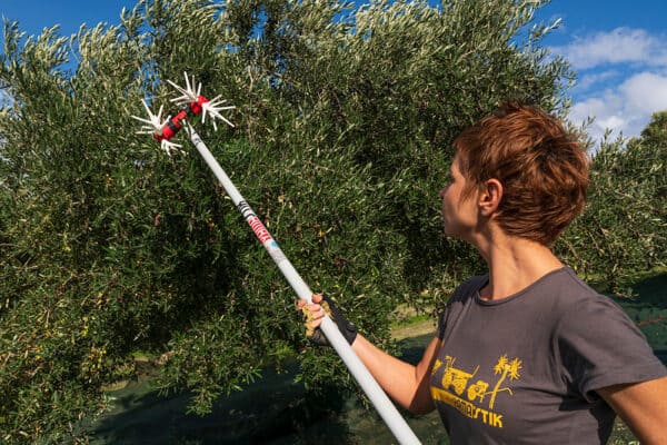 Ελαιοραβδιστικό Νιφάδα x12  2.2m/12-15V YAMASTIK. - Image 3