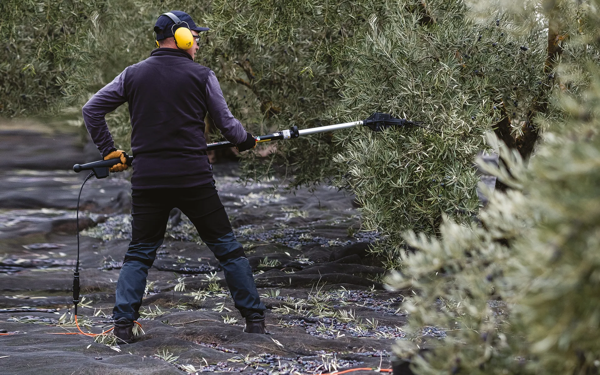 ZAN2H1040033_1 BLACK+DECKER.