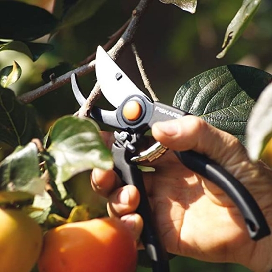 FIS111960102_3 FISKARS