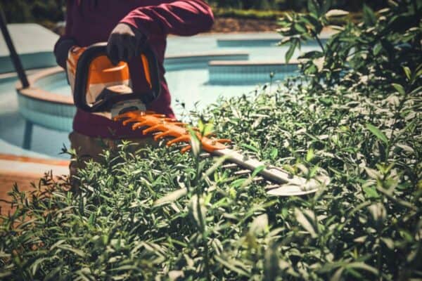 STIHL