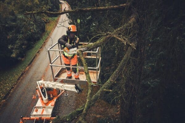 Αλυσοπρίονο MSA 190 T 30cm STIHL. - Image 7
