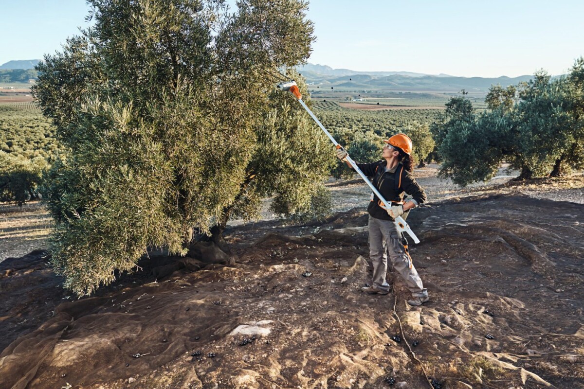 SVA020110701_3 STIHL