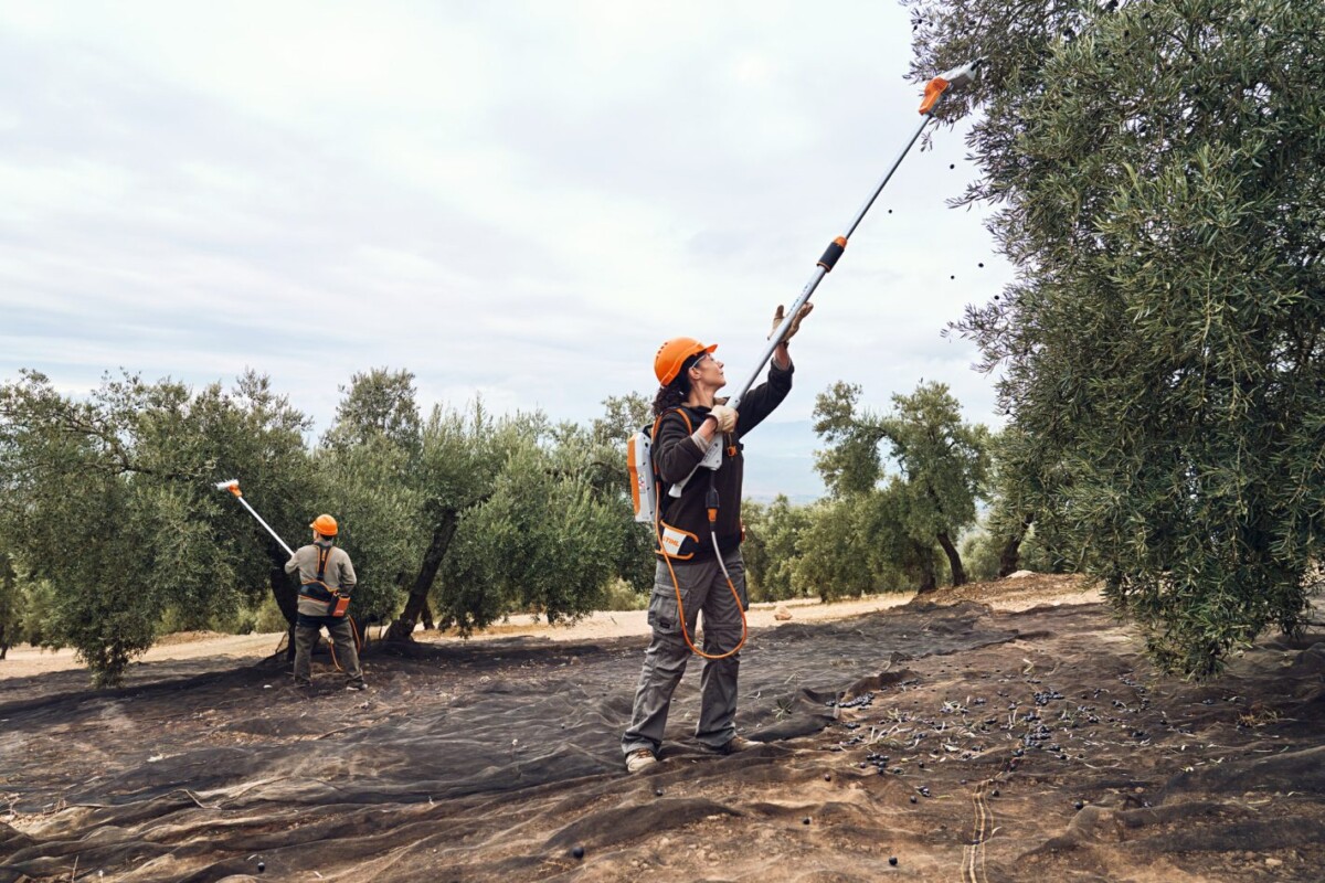 SVA020110701_4 STIHL