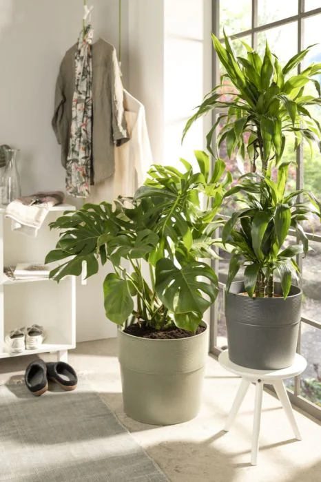 SCH224NER_1 scheurich