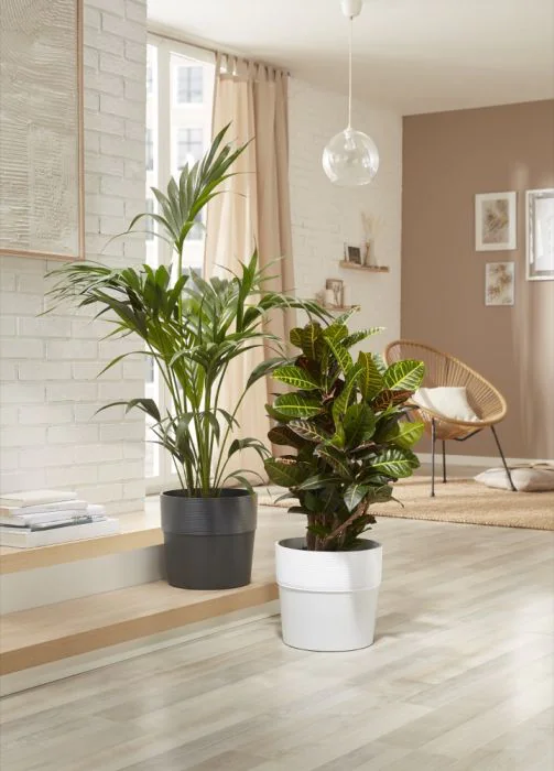 SCH224NER_2 scheurich