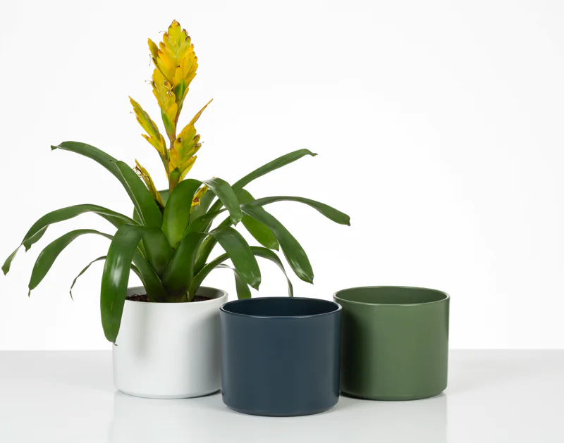 SCH631MYR_1 scheurich