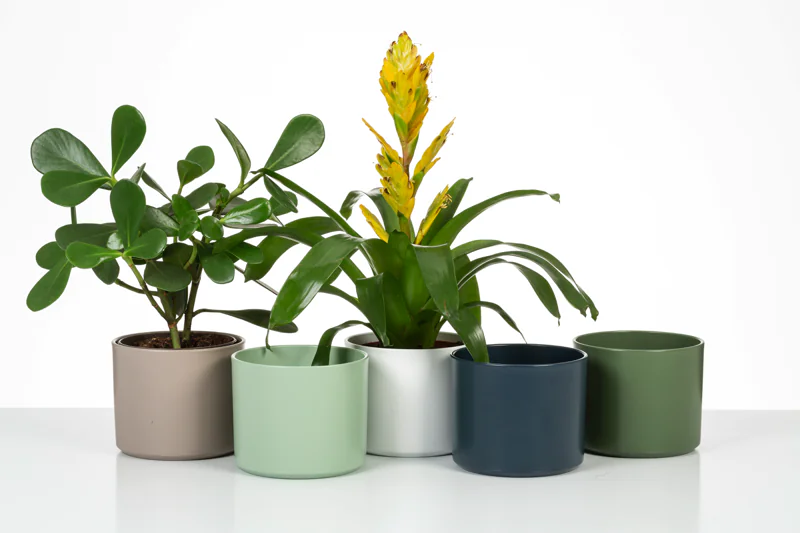 SCH631MYR_2 scheurich