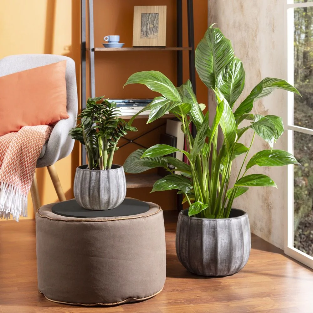 SCH784GRE_1 scheurich