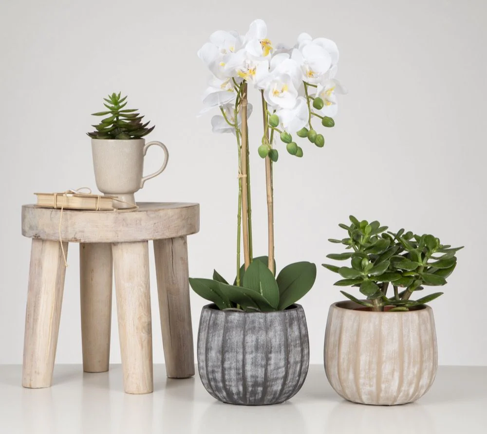 SCH784GRE_2 scheurich