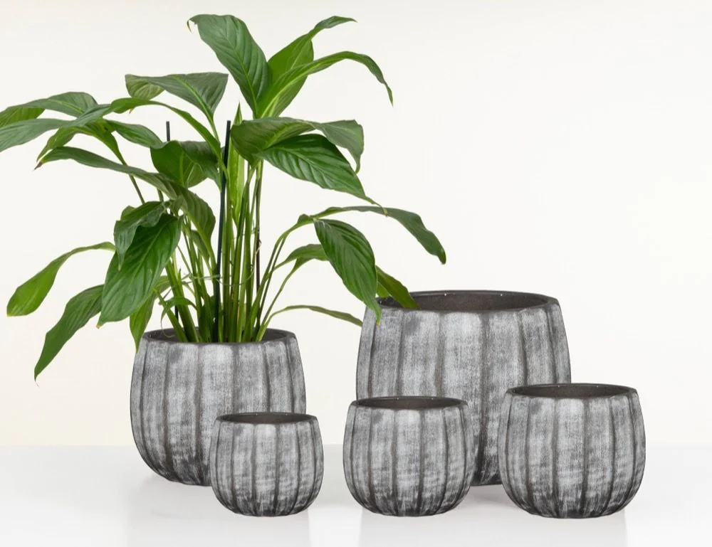 SCH784GRE_3 scheurich