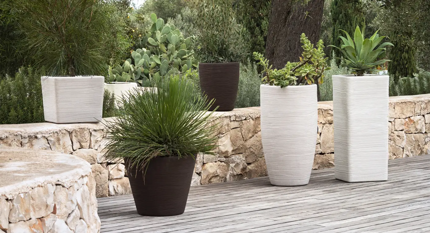 VAS0CASR93CO_3 vasar