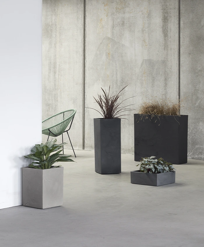 VASCATLH75IG_2 vasar