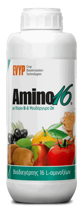 Βιοδιεγέρτης Amino16 B/Zn 1lt EVYP.