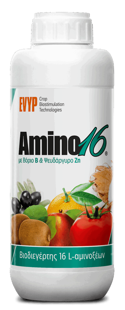 Βιοδιεγέρτης Amino16 B/Zn 1lt EVYP. 1 Βιοδιεγέρτης Amino16 B/Zn 1lt EVYP.