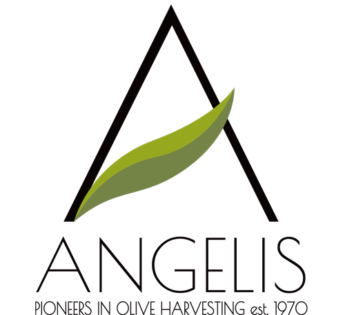 Angelis